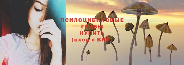 амф Беломорск