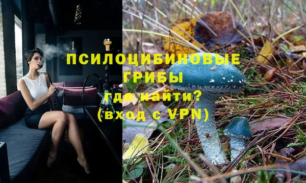 амф Беломорск