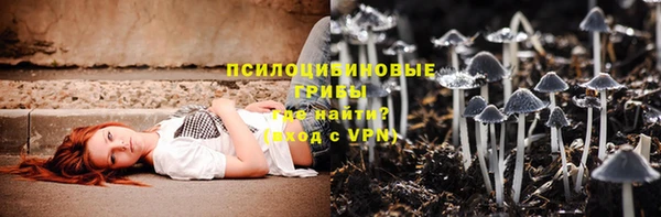 гашик Покровск